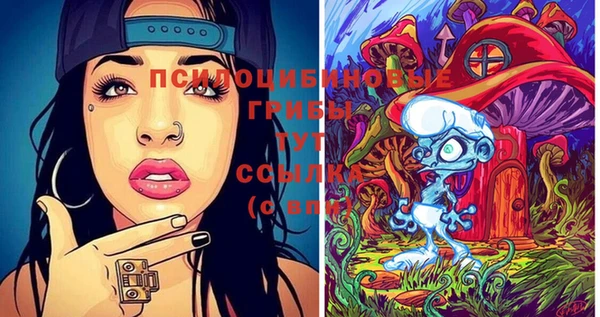 прущая мука Арсеньев